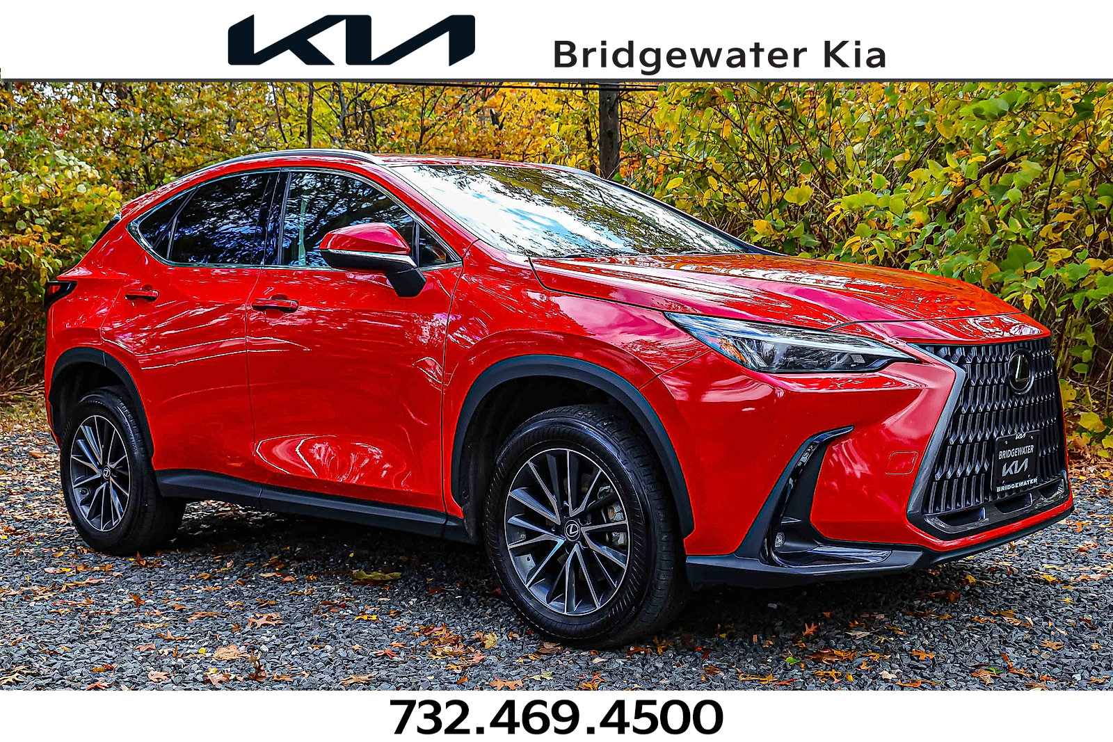 Used 2023 Lexus NX 350 AWD image 1