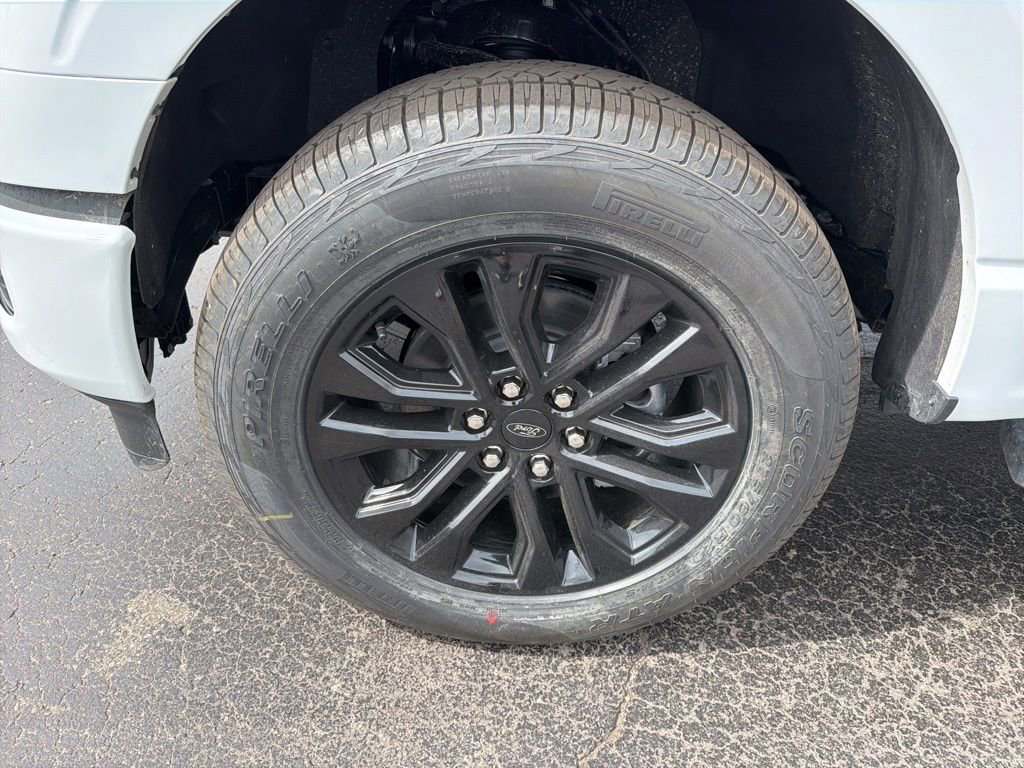 New 2026 Ford F150 XLT w/ Equipment Group 302A MID image 9