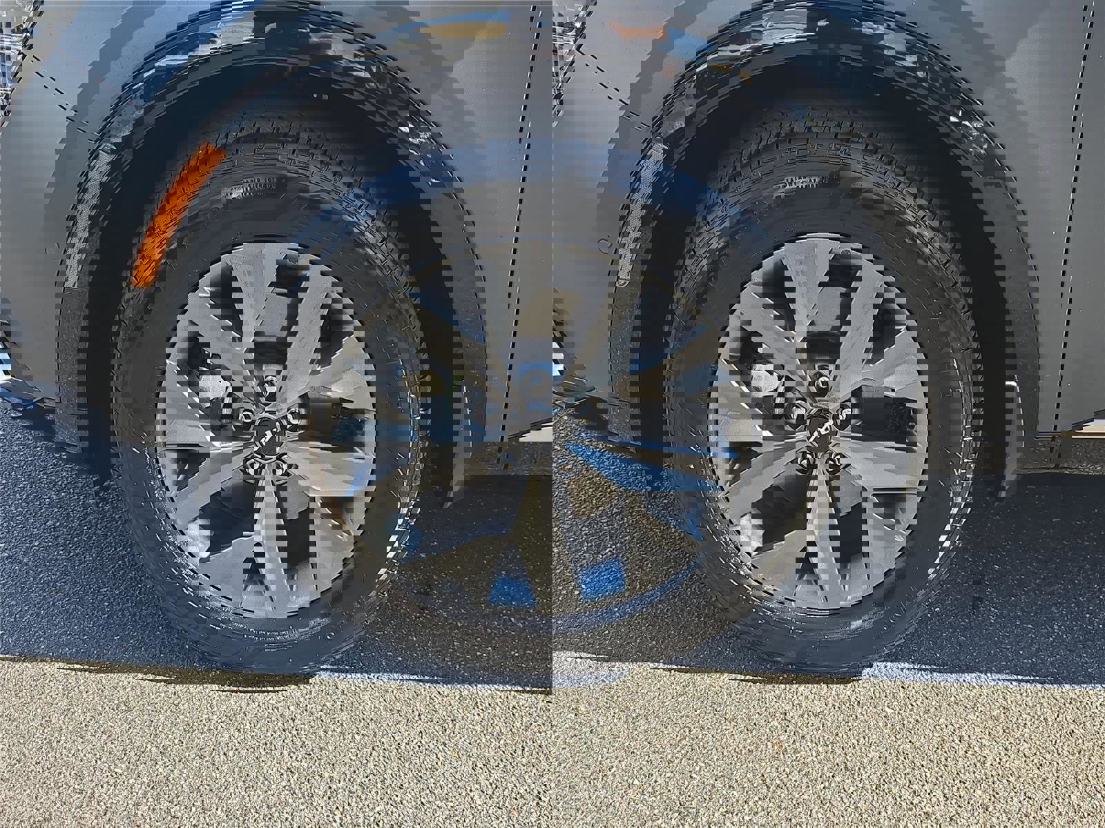 Used 2024 Kia Sportage SX Prestige image 9