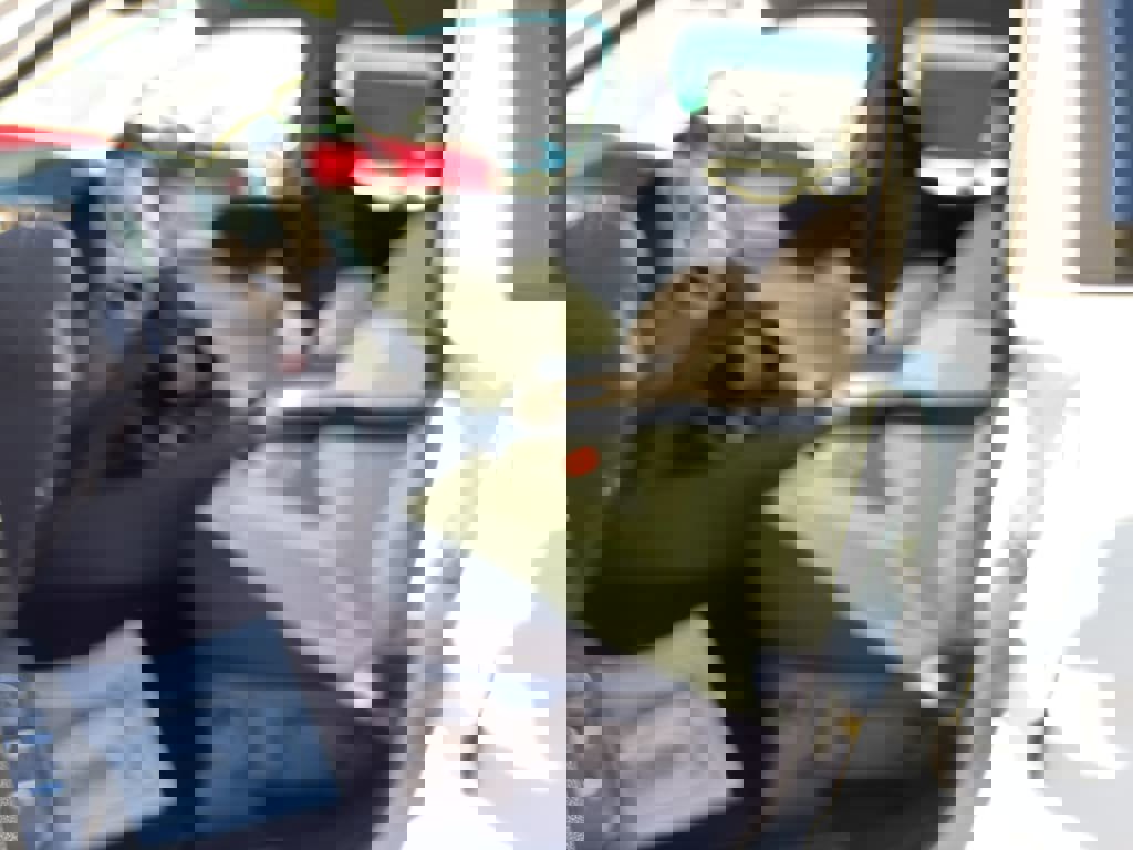 New 2025 Ford Ranger XL w/ Trailer Tow Package image 17