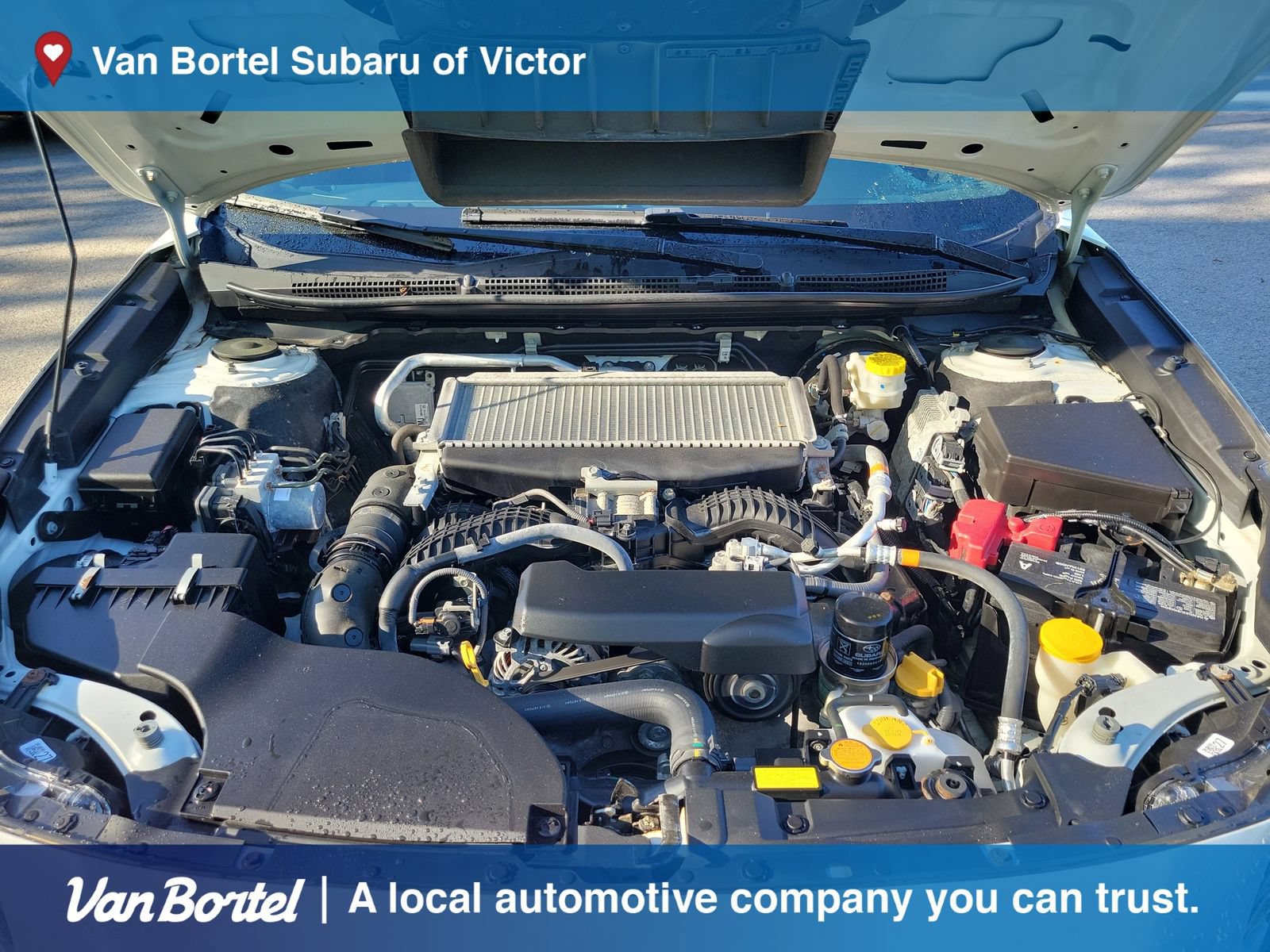 Used 2022 Subaru Outback Wilderness AWD/4WD image 11