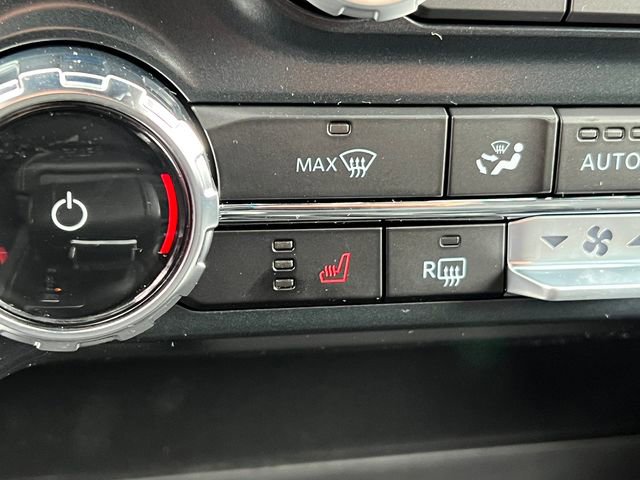 New 2026 Ford F150 XLT w/ Equipment Group 302A MID image 33