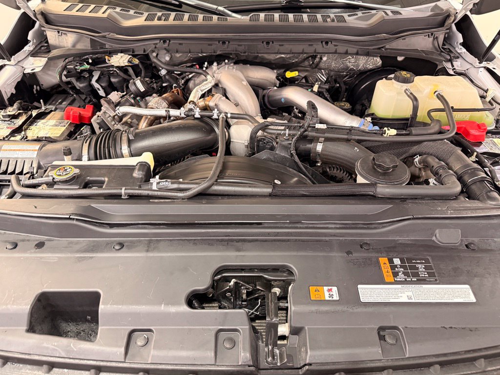 Used 2024 Ford F250 XL AWD/4WD image 6