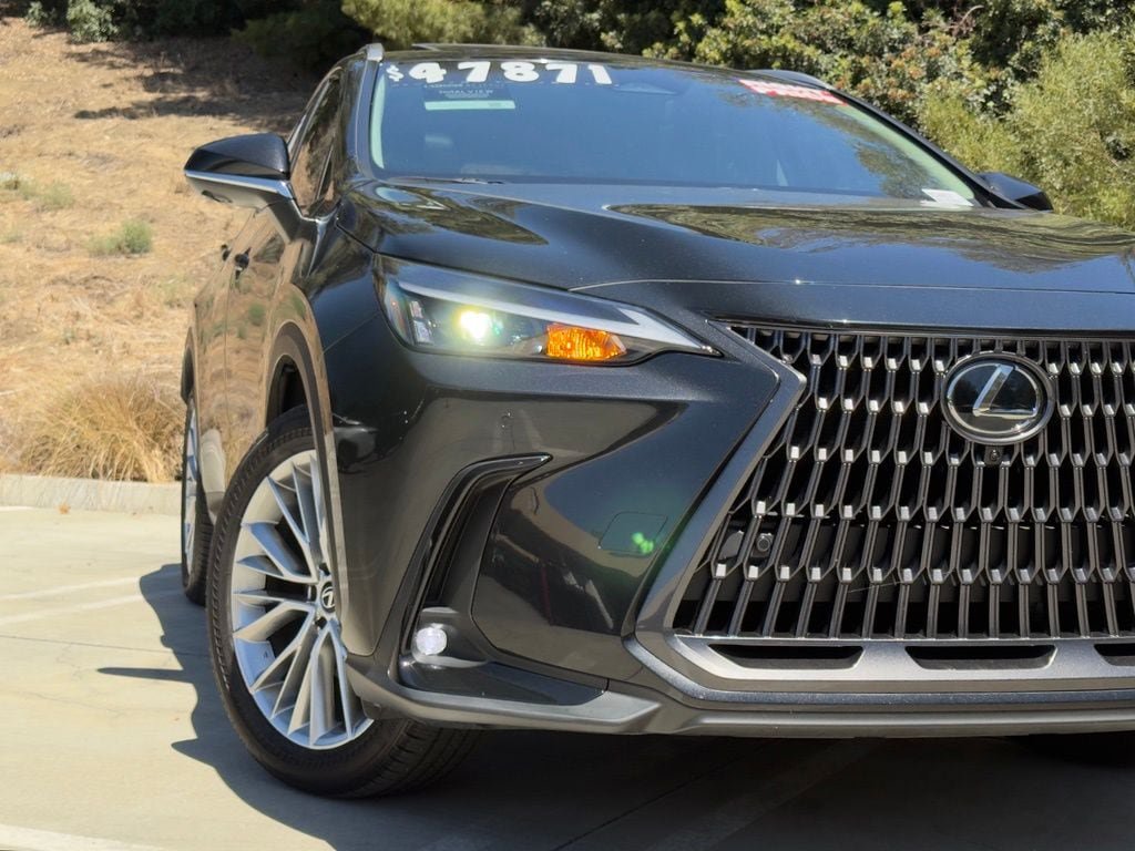Certified 2025 Lexus NX 350h AWD w/ Premium Package image 7