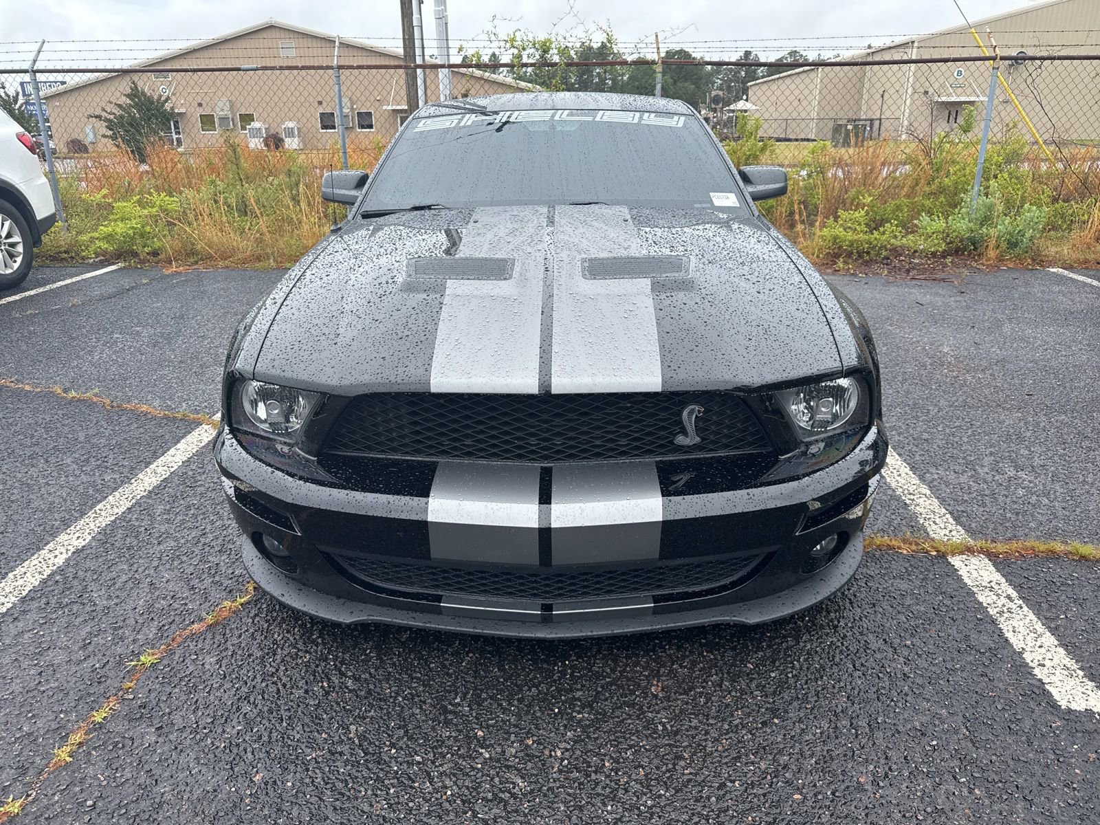 Used 2009 Ford Mustang Shelby GT500 RWD image 2