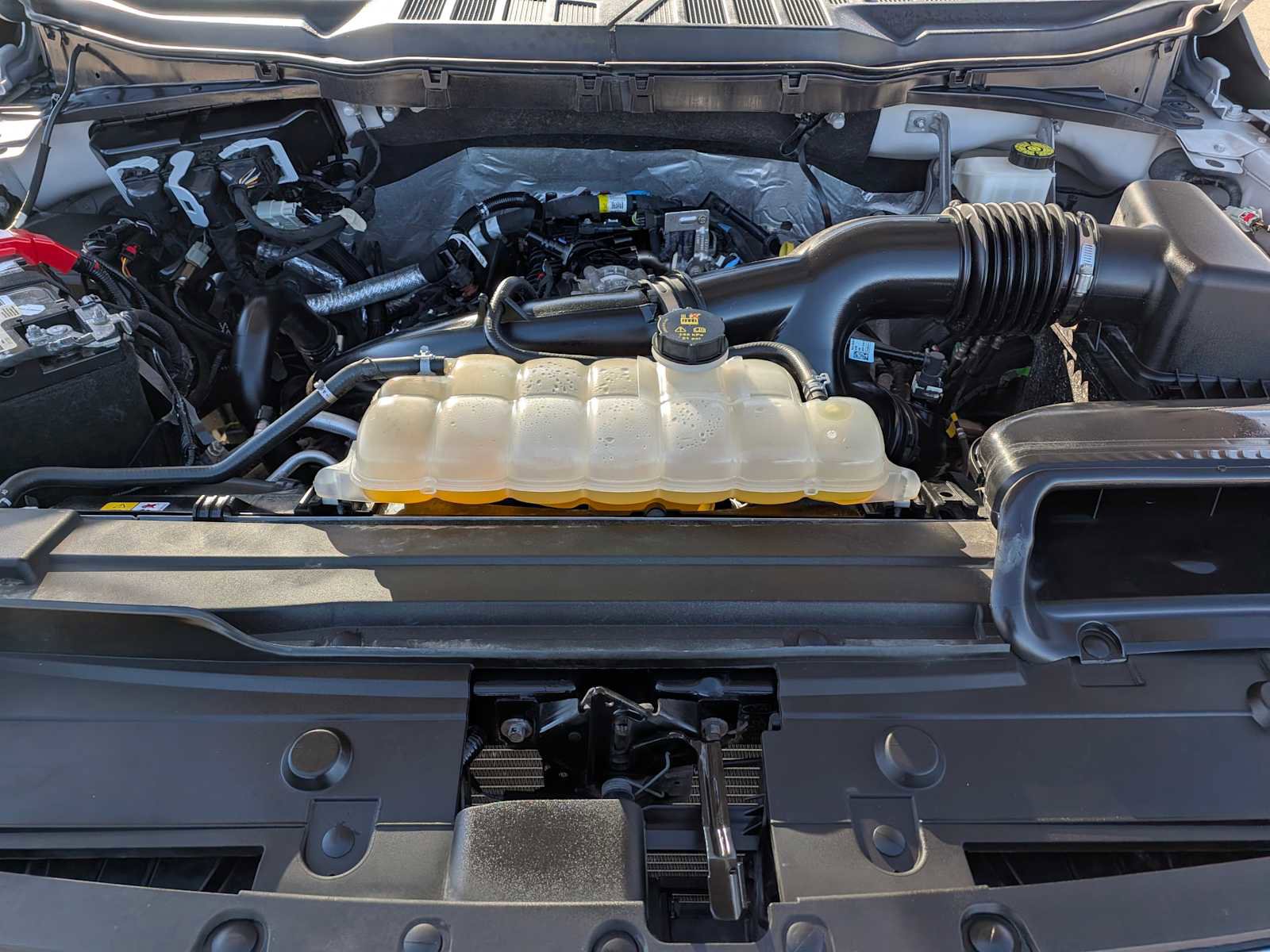 Certified 2023 Ford F150 XL w/ XL STX Apperance Package image 16