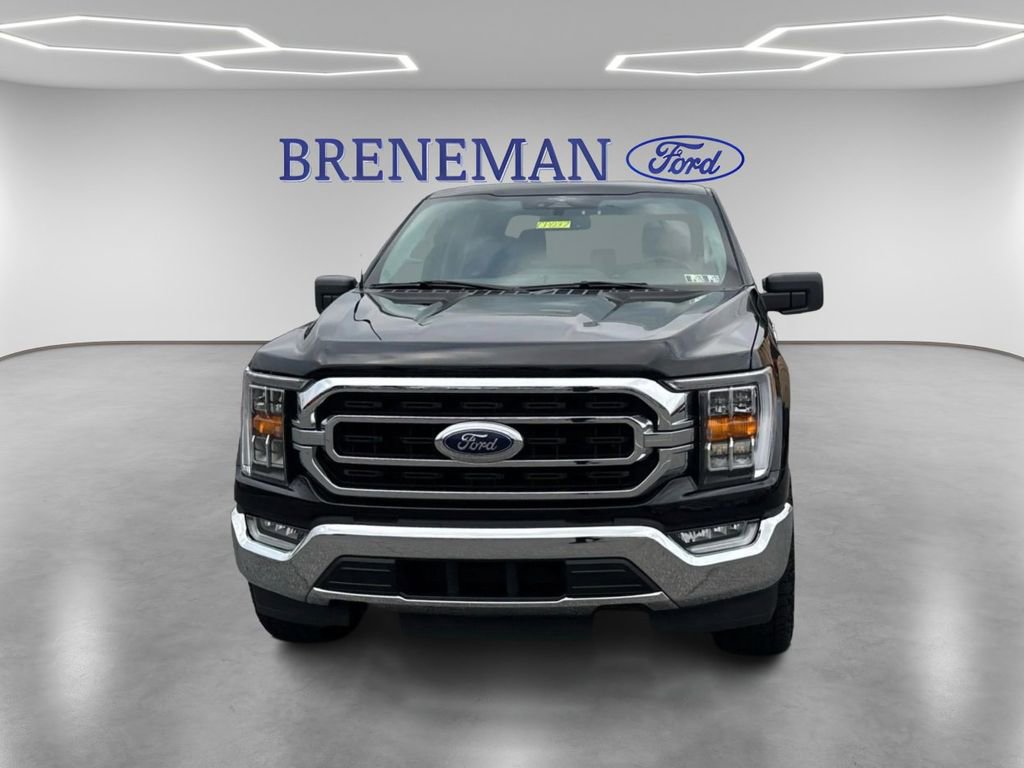 Used 2023 Ford F150 XLT w/ Equipment Group 302A High image 2