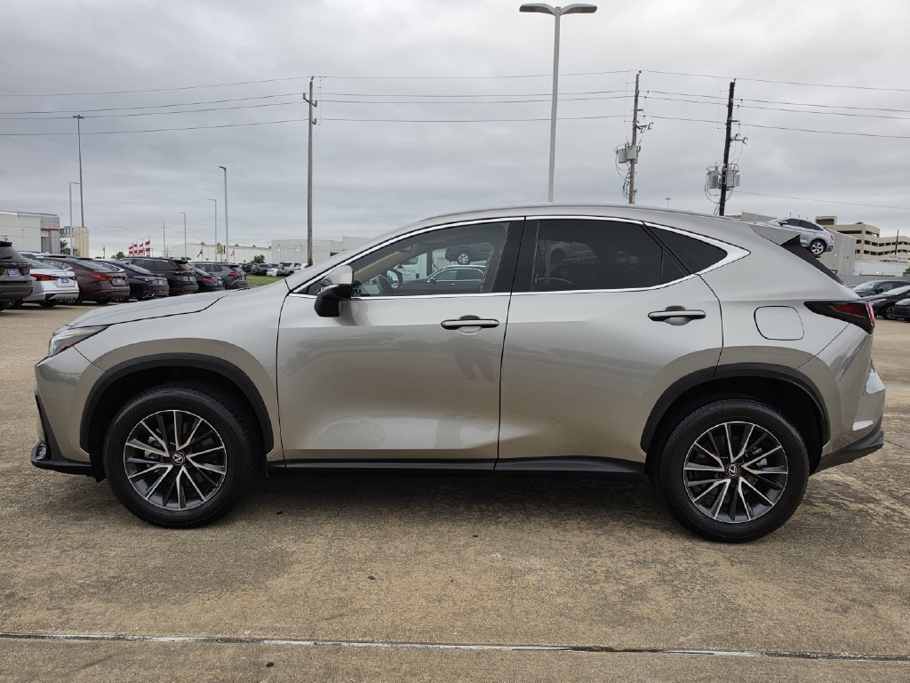 Used 2024 Lexus NX 250 FWD w/ Cold Area Package image 6