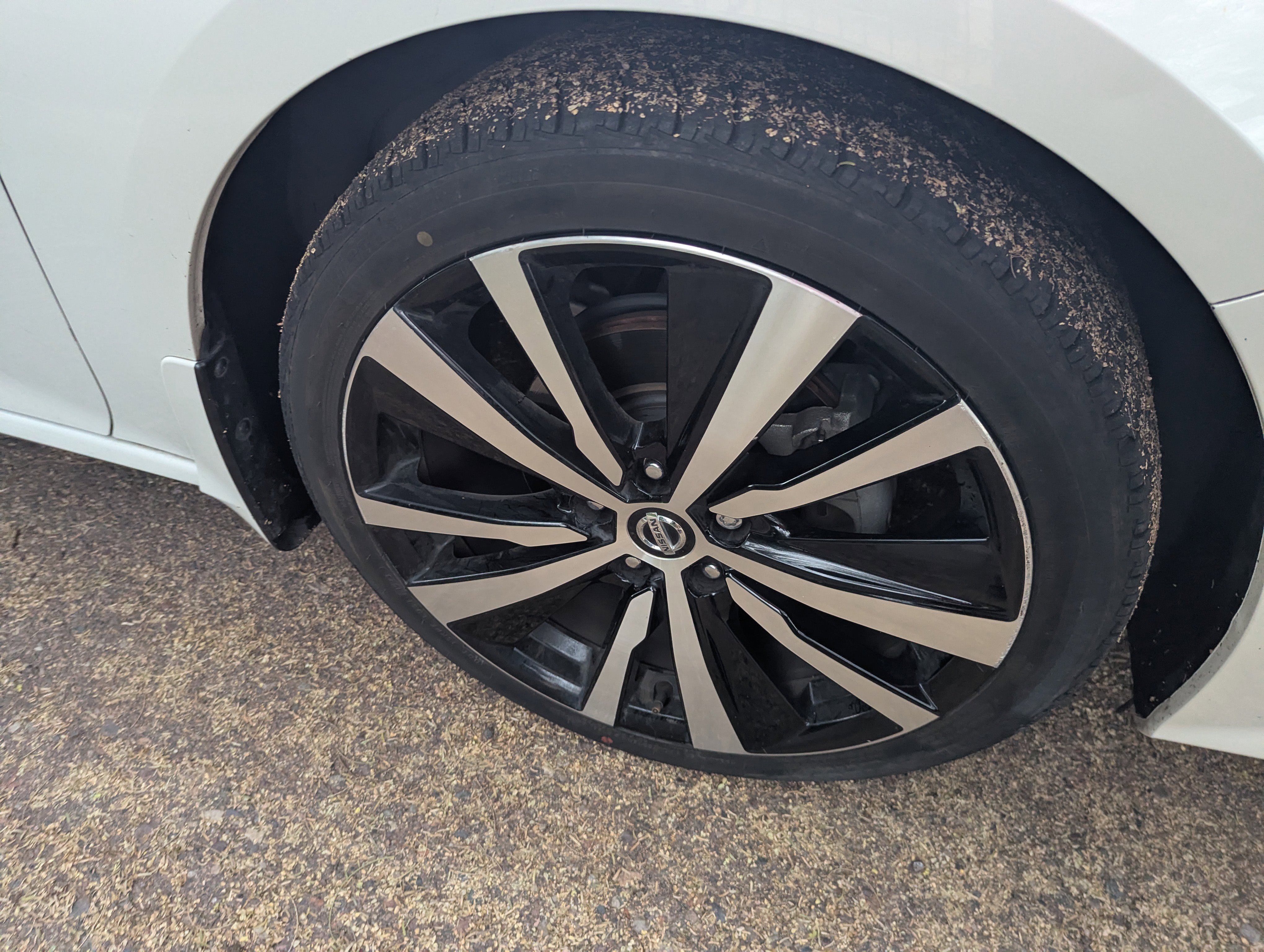 Used 2019 Nissan Altima 2.5 SR image 6