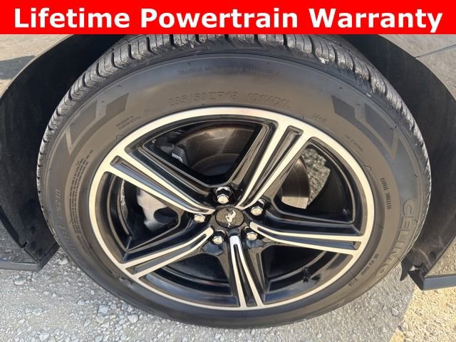 Used 2024 Ford Mustang Coupe image 23