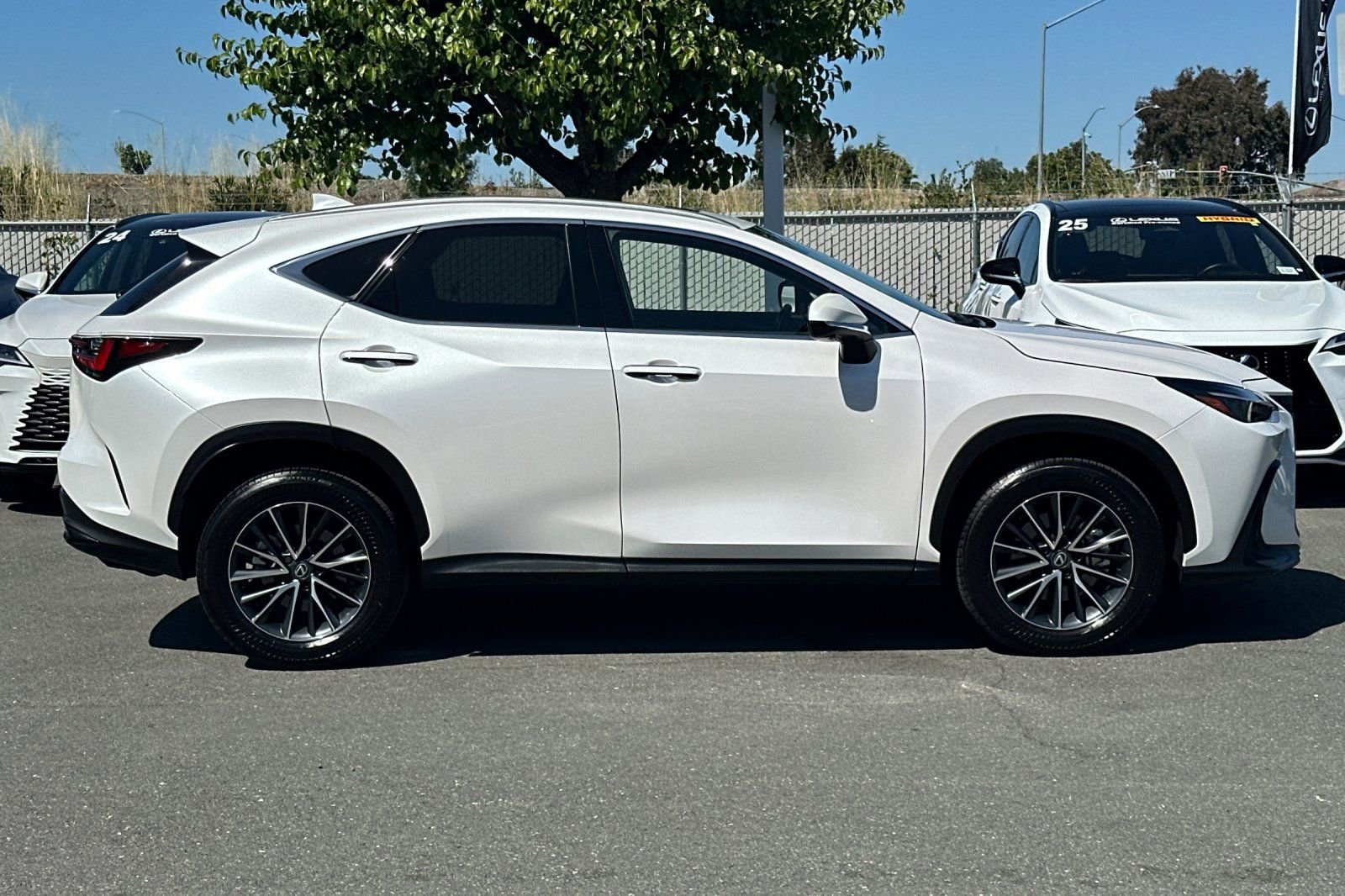 Used 2025 Lexus NX 350 AWD w/ Cold Area Package image 3