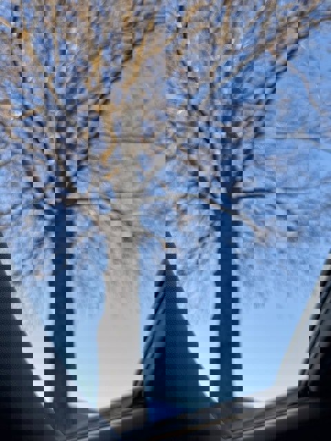 Used 2023 Honda Ridgeline RTL image 8