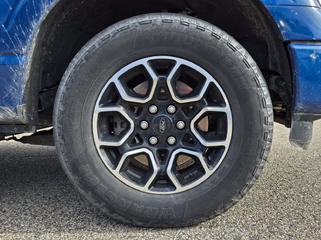 Used 2022 Ford F150 XL w/ STX Appearance Package AWD/4WD image 10