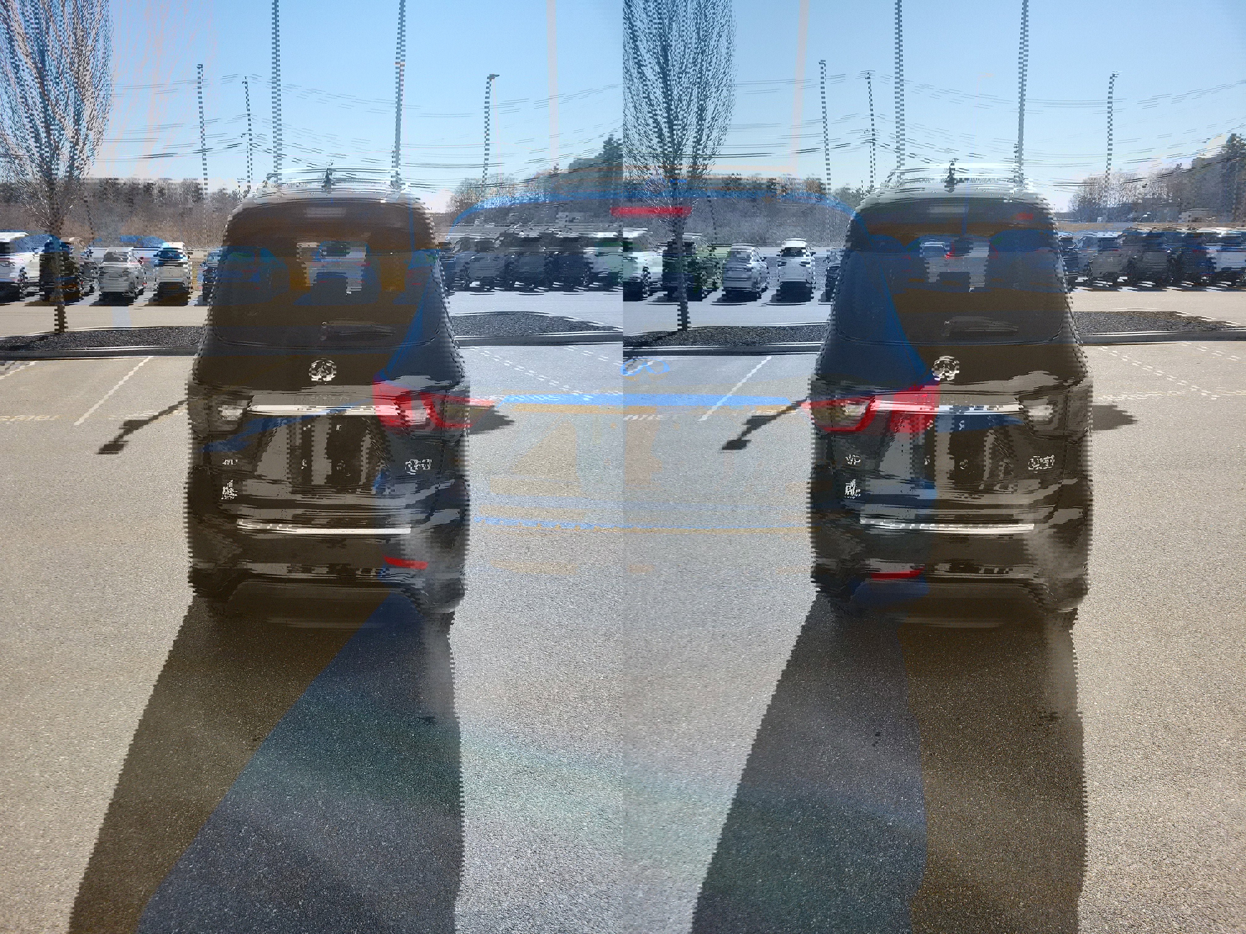 Used 2019 INFINITI QX60 Luxe w/ Essential Package image 6