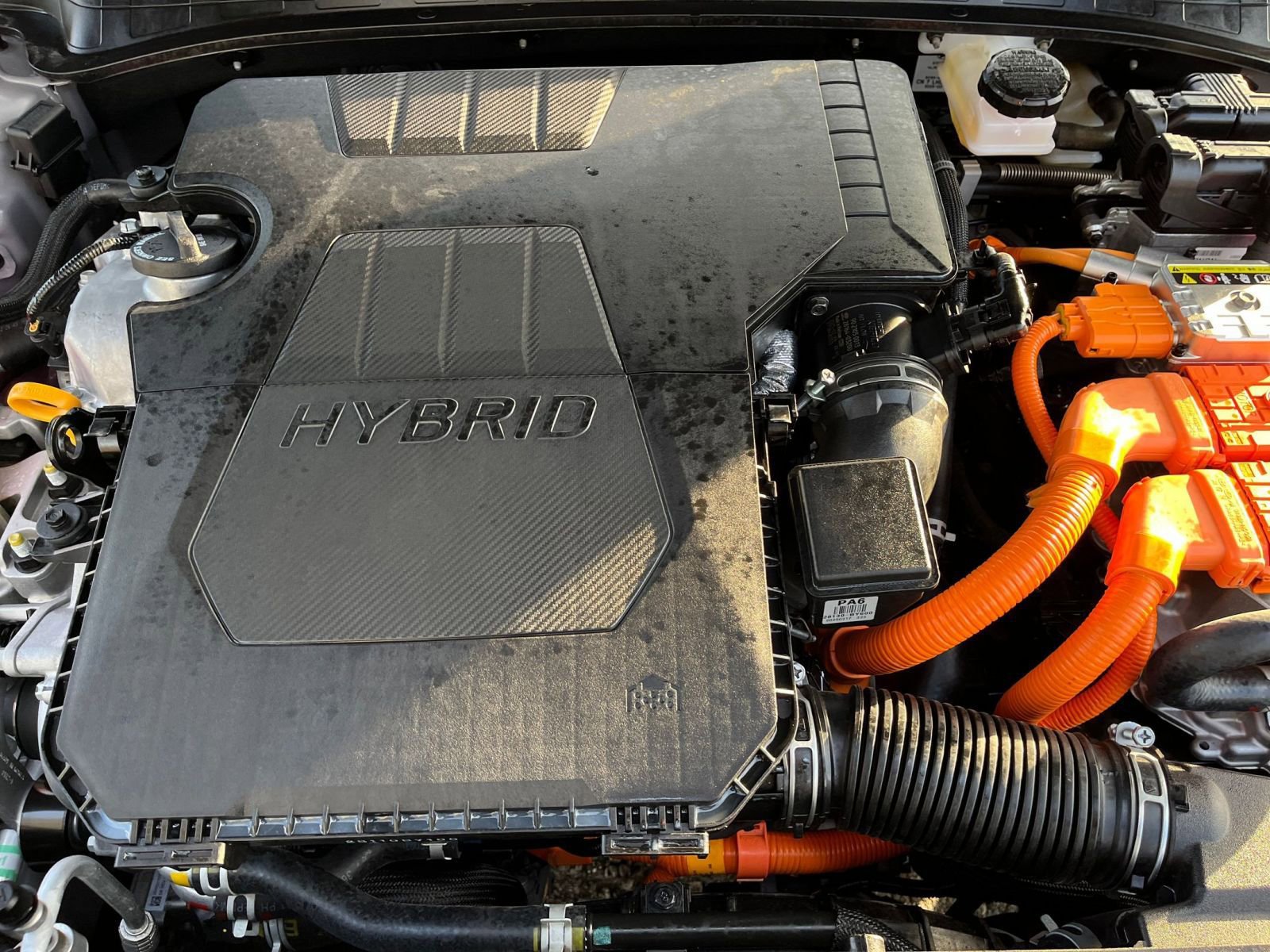 Used 2025 Hyundai Elantra Limited image 32