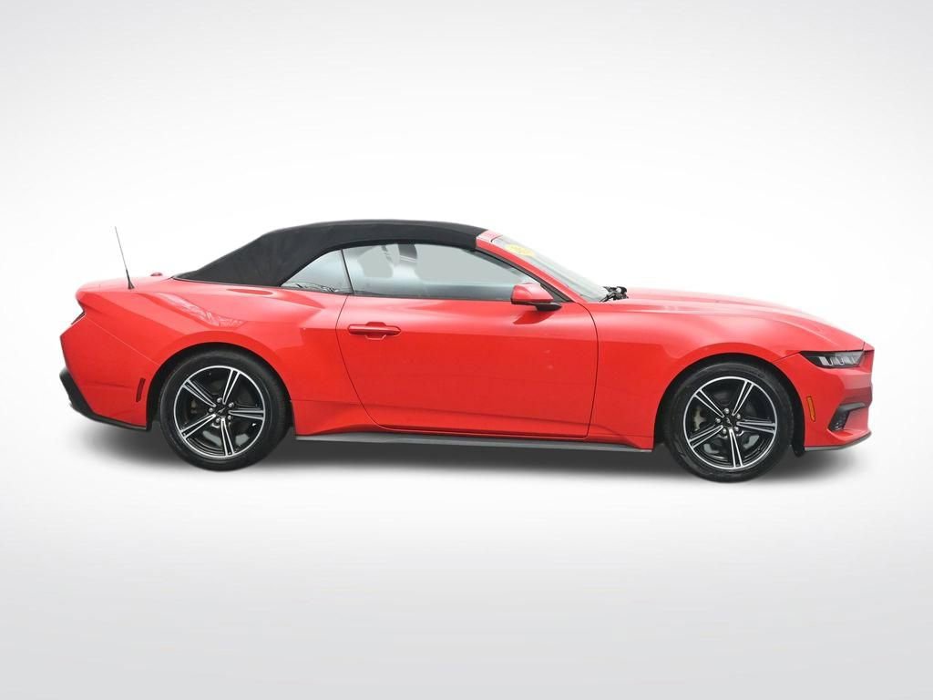 Used 2024 Ford Mustang EcoBoost image 4