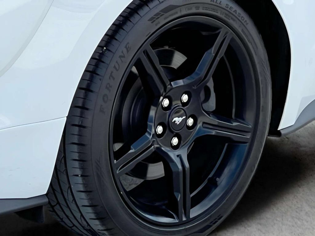 Used 2019 Ford Mustang GT Premium w/ Equipment Group 401A RWD image 35