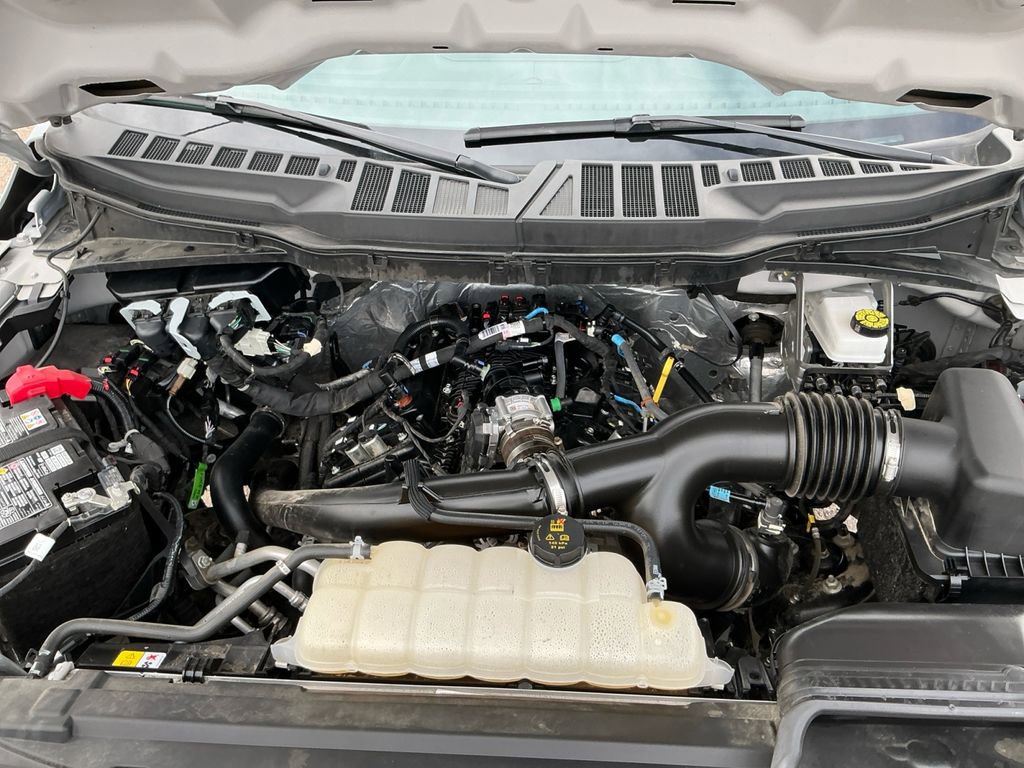 Used 2025 Ford F150 XLT w/ Equipment Group 301A Standard image 25