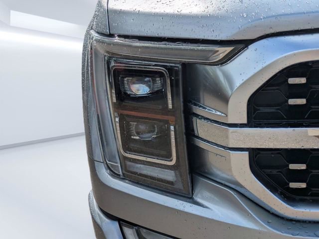 Used 2021 Ford F150 Platinum image 10