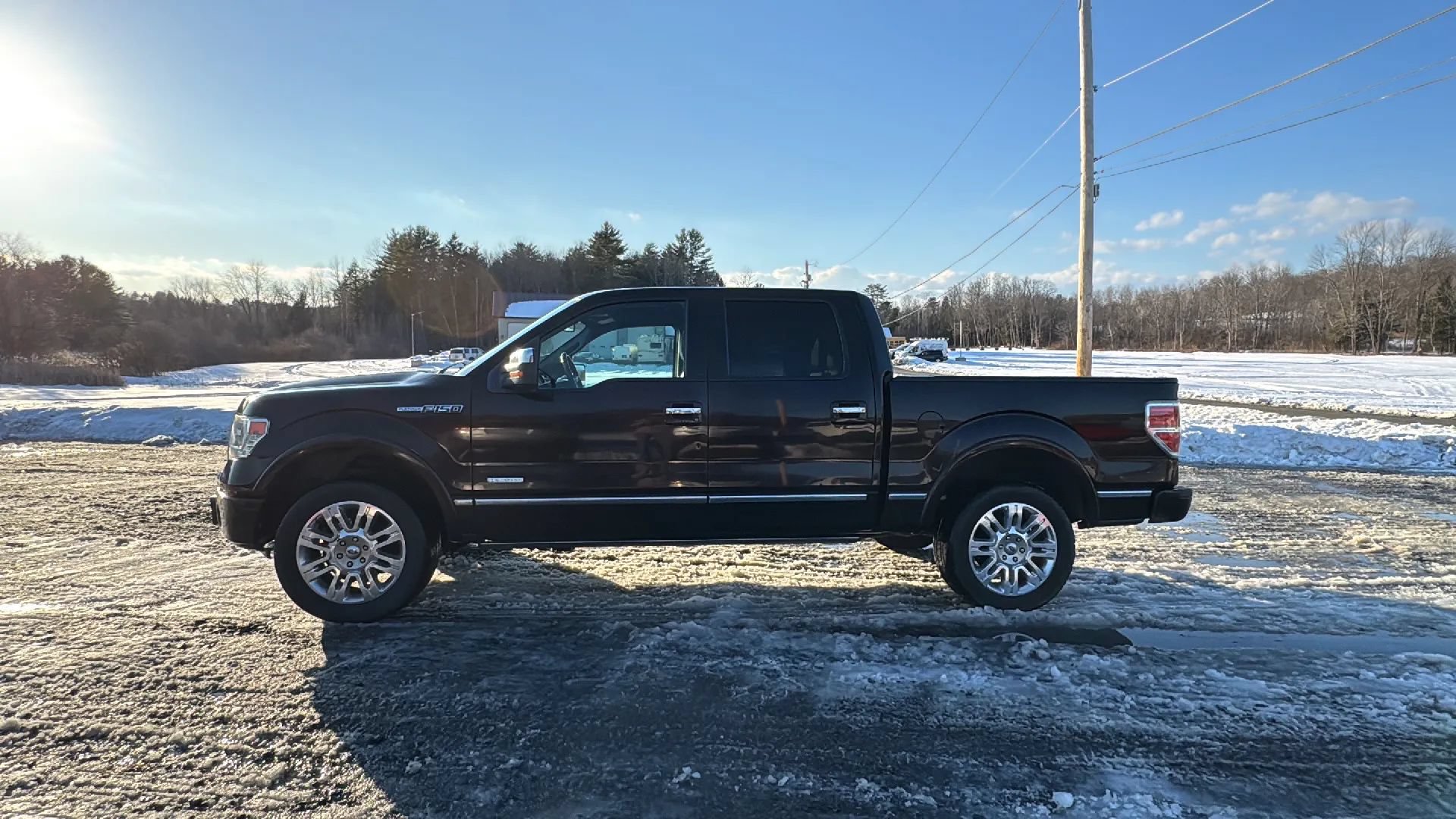 Used 2014 Ford F150 Platinum AWD/4WD image 4
