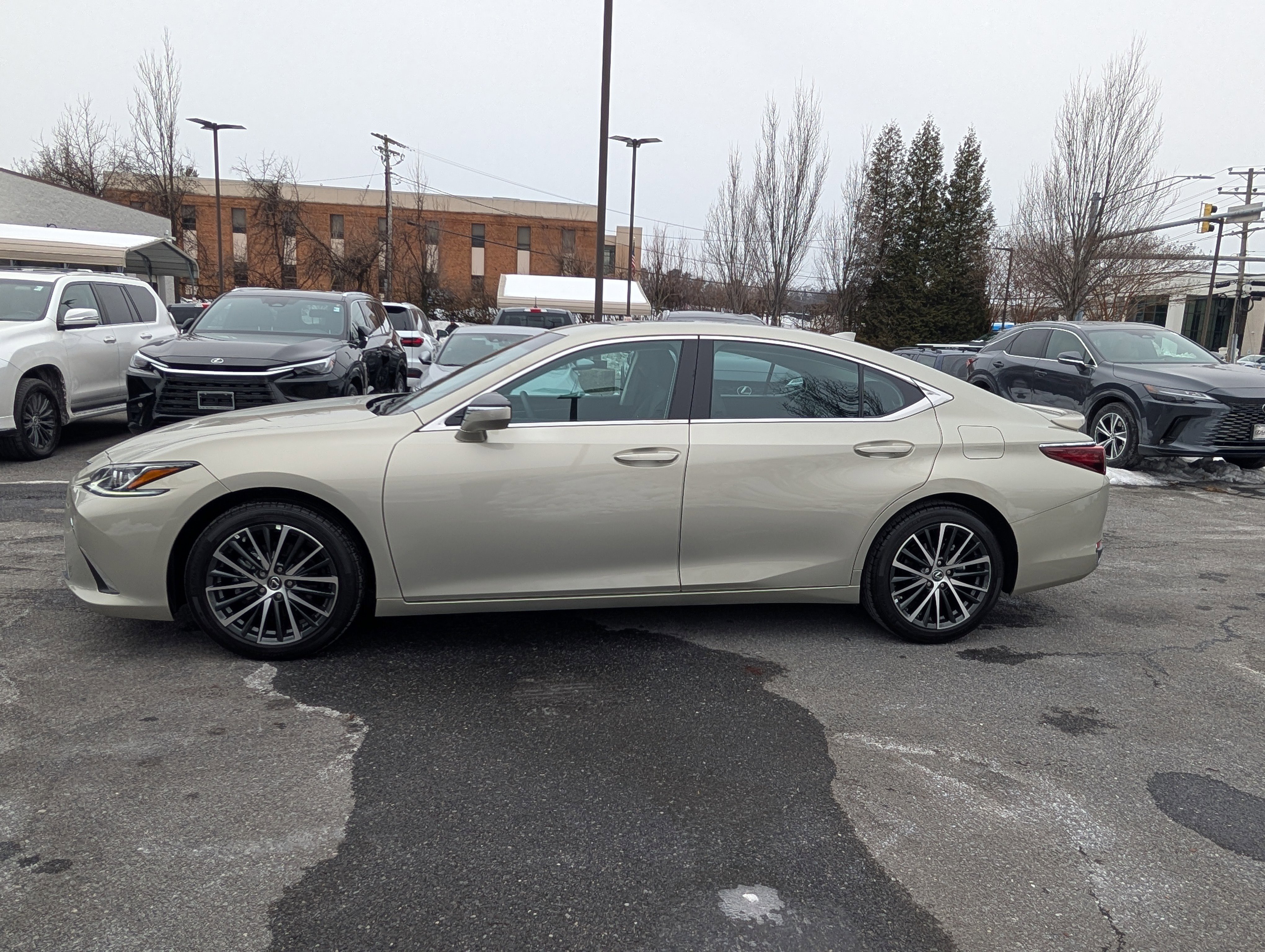 Certified 2025 Lexus ES 300h w/ Premium Package image 6