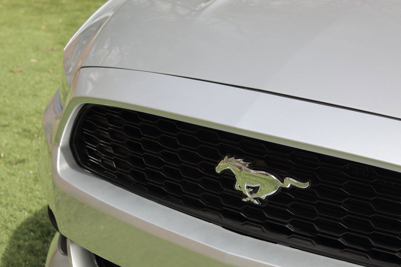 Used 2017 Ford Mustang Premium image 6