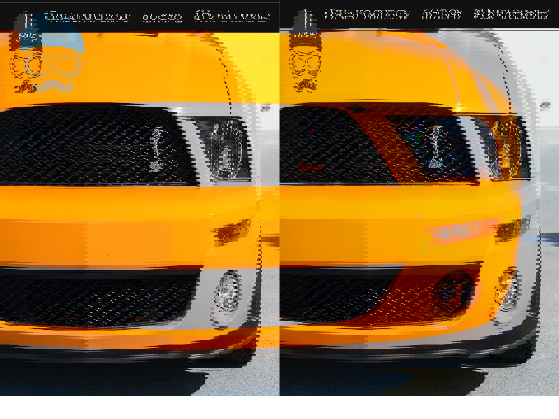 Used 2008 Ford Mustang Shelby GT500 image 13