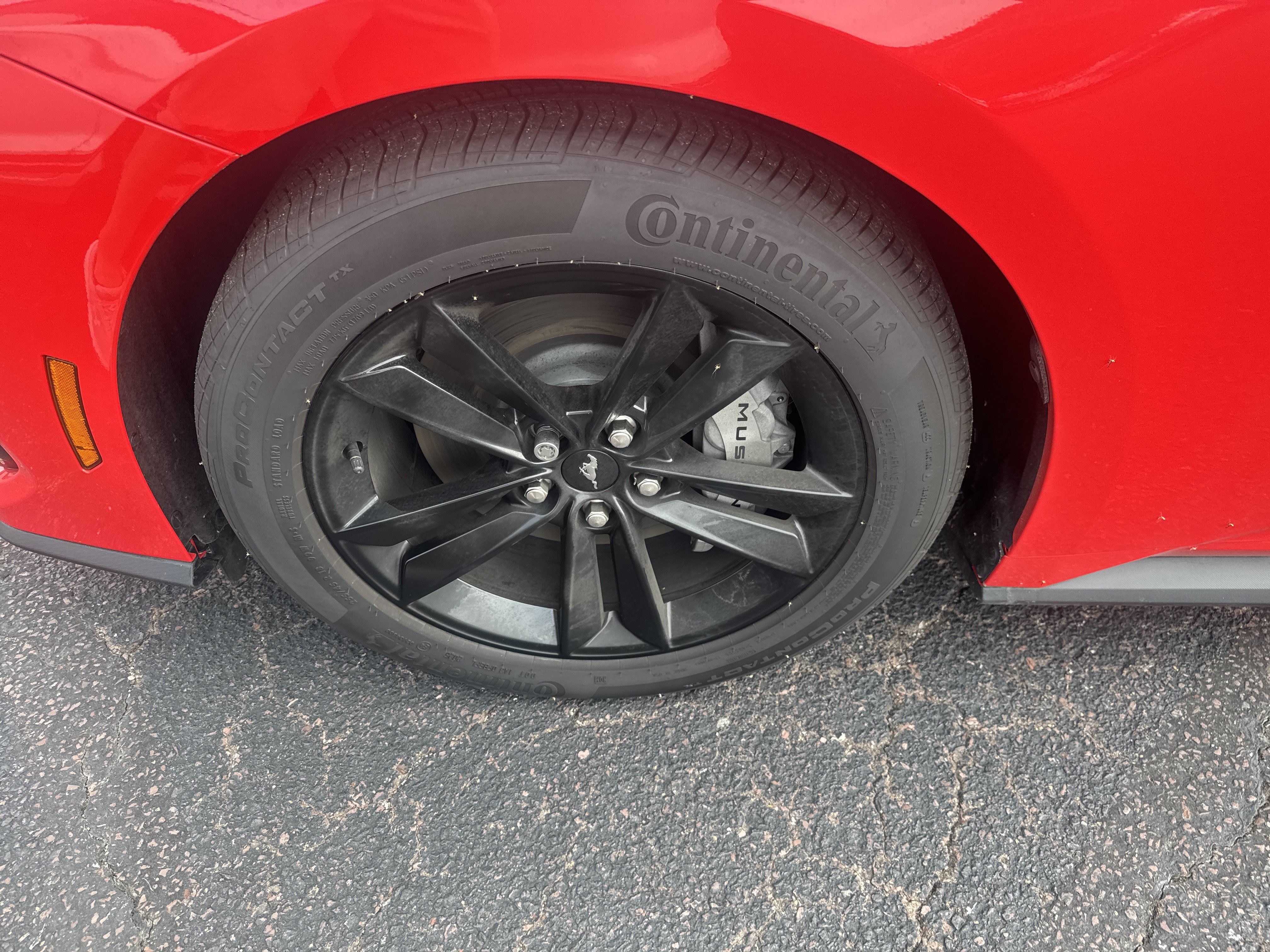Used 2025 Ford Mustang GT RWD image 13