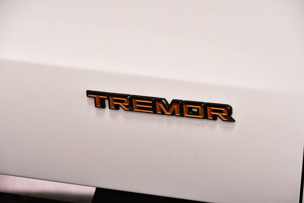 Used 2025 Ford Expedition Tremor AWD/4WD image 10