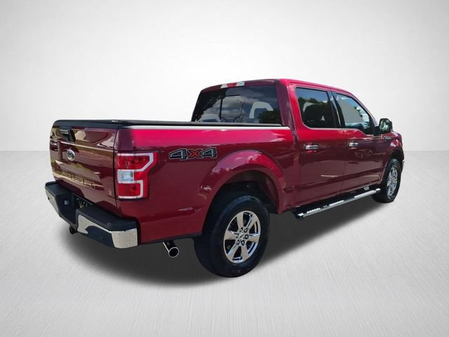 Used 2019 Ford F150 XLT w/ Equipment Group 302A Luxury AWD/4WD image 10