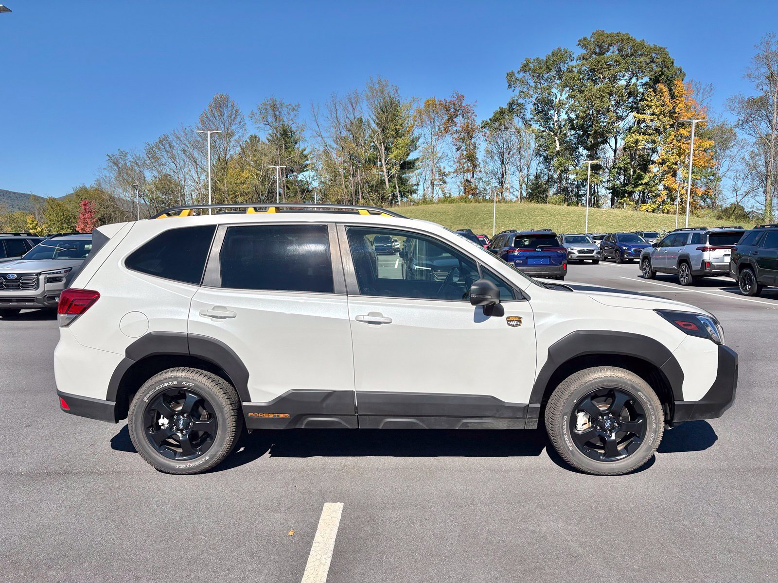 Certified 2025 Subaru Forester Wilderness w/ Wilderness Package AWD/4WD image 6