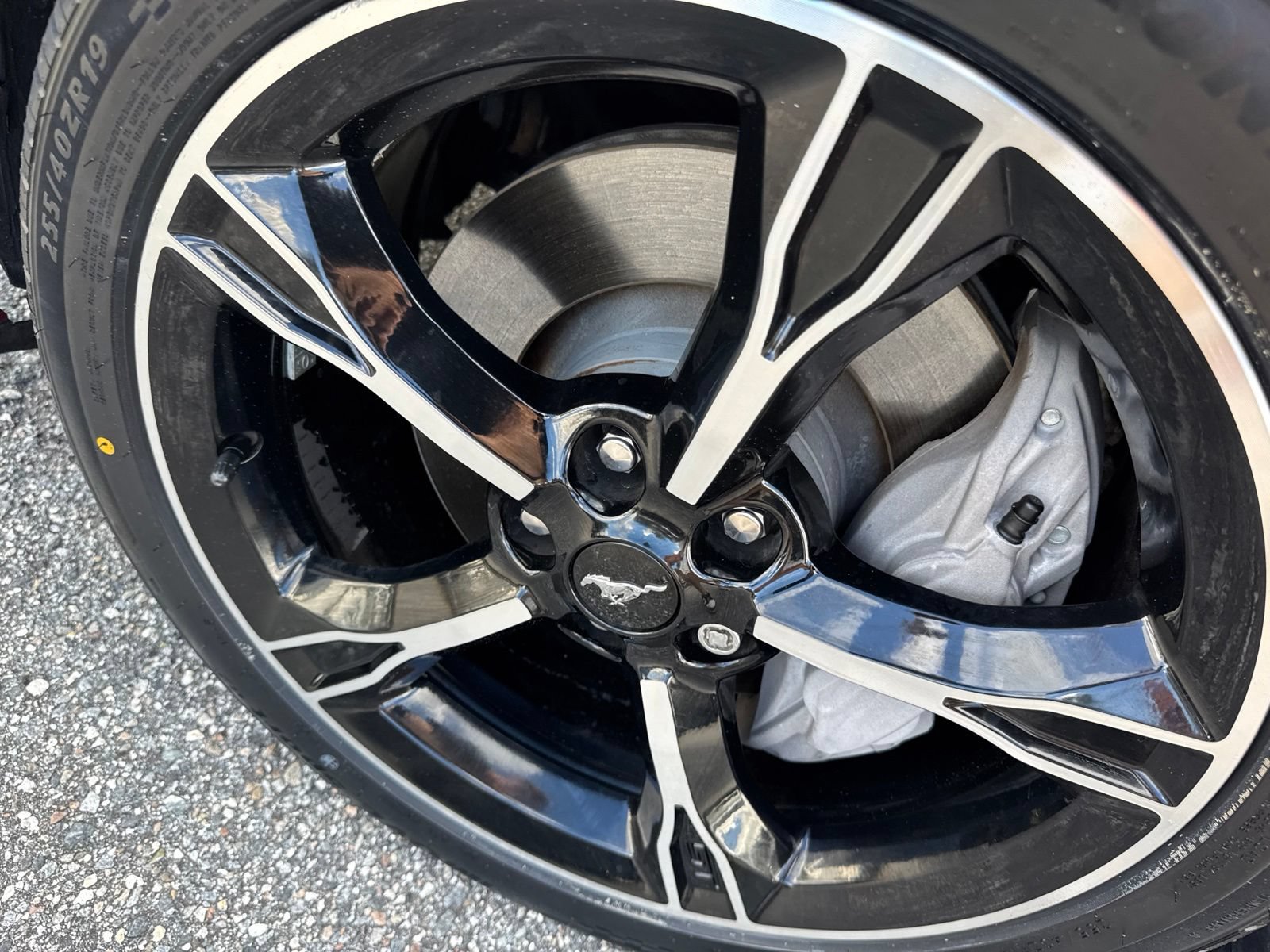 Used 2017 Ford Mustang GT Premium w/ Equipment Group 401A RWD image 12