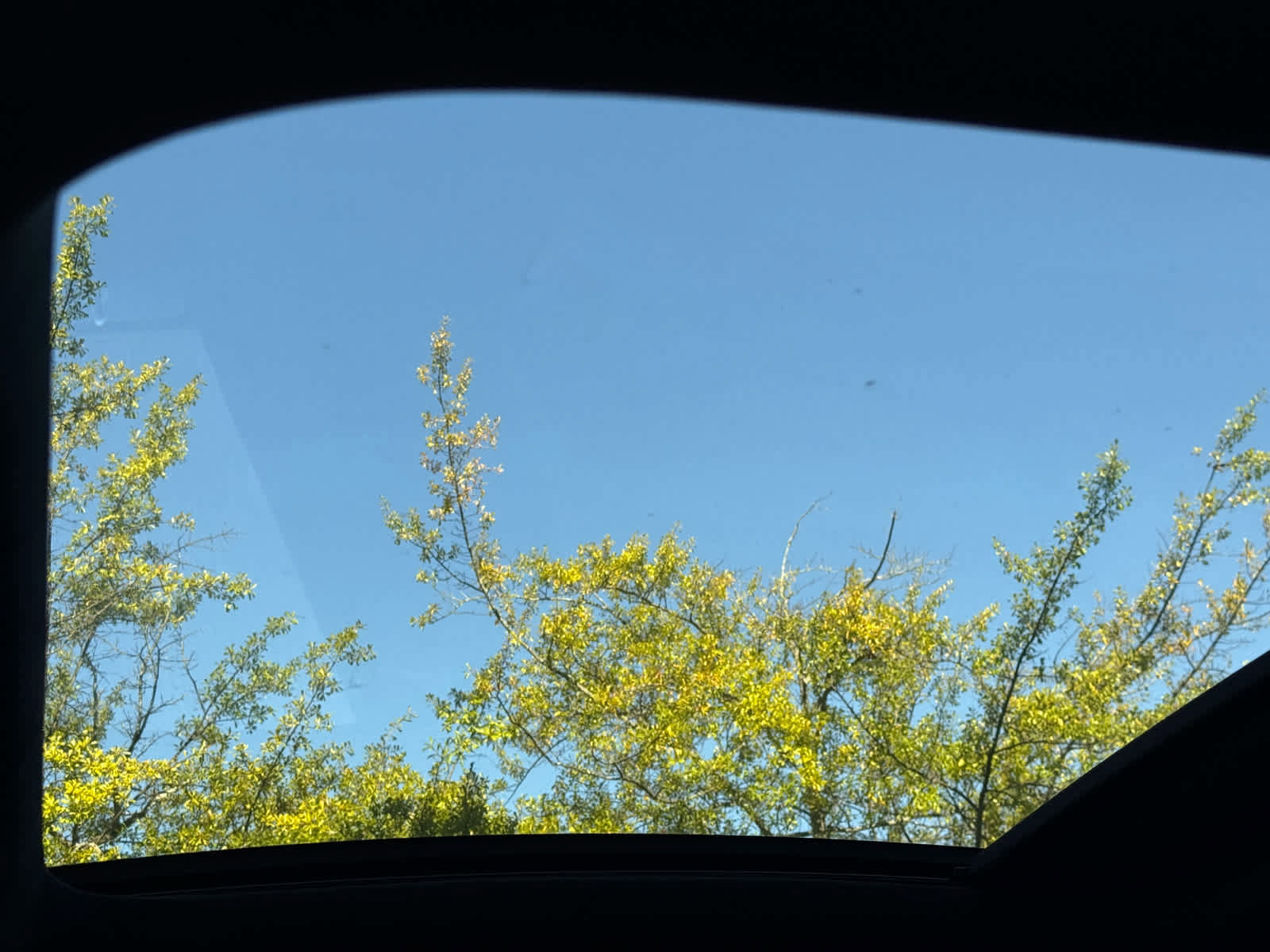 New 2026 Mercedes-Benz GLE 63 AMG S image 31