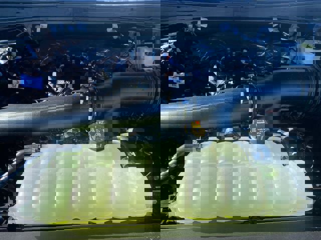 New 2026 Ford Expedition Active image 15