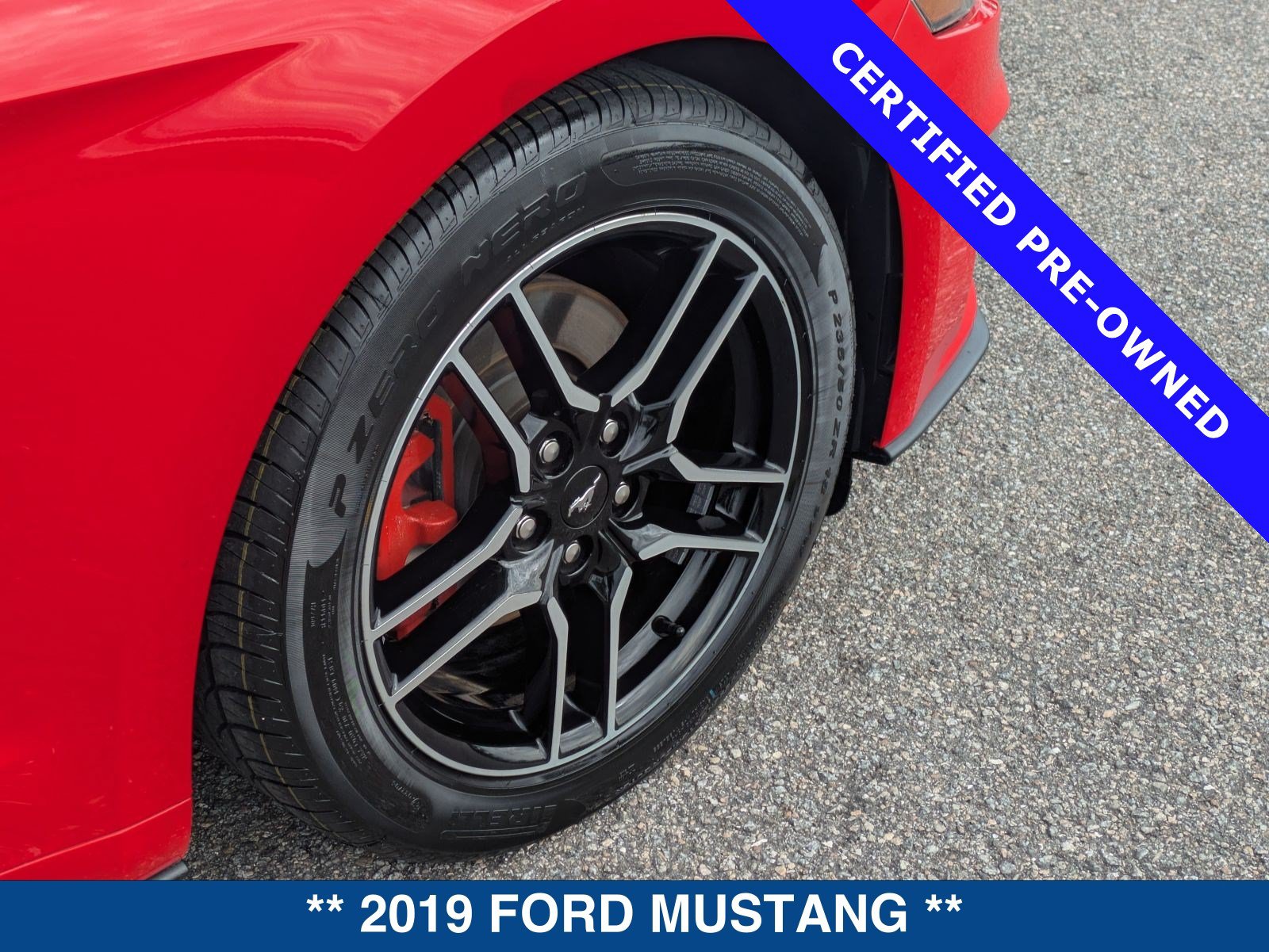 Certified 2019 Ford Mustang Premium RWD image 13