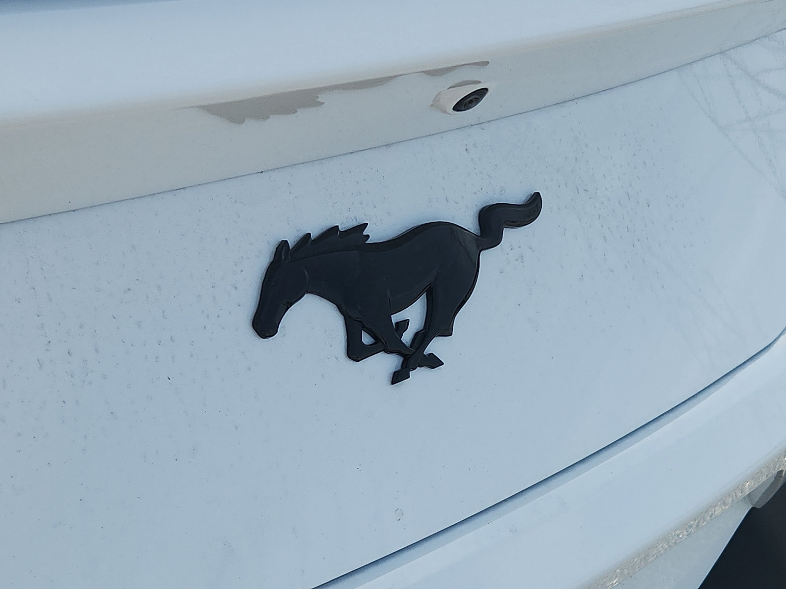 New 2025 Ford Mustang Coupe RWD image 17