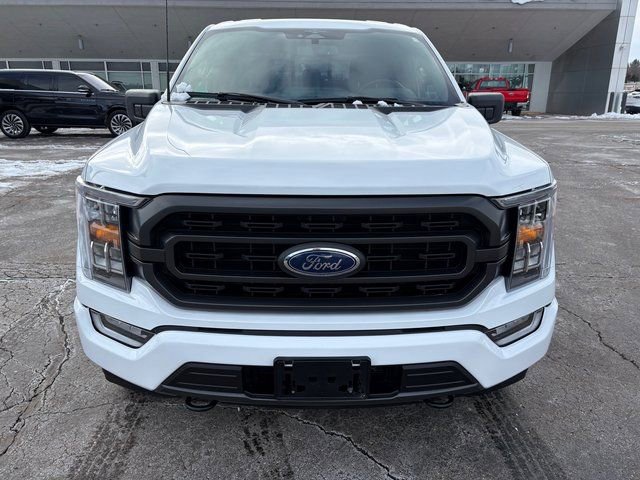 Used 2023 Ford F150 XLT w/ Equipment Group 302A High image 8