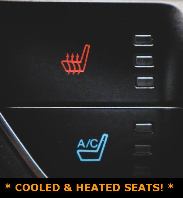 Used 2015 Ford Mustang GT Premium w/ Equipment Group 401A image 5