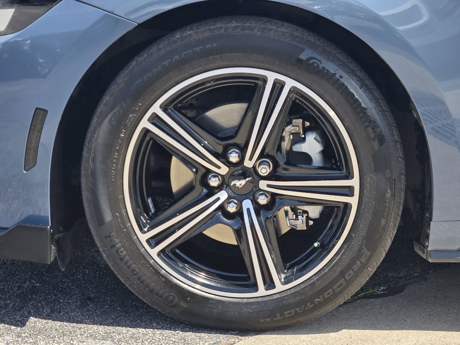 Used 2025 Ford Mustang Coupe RWD image 11