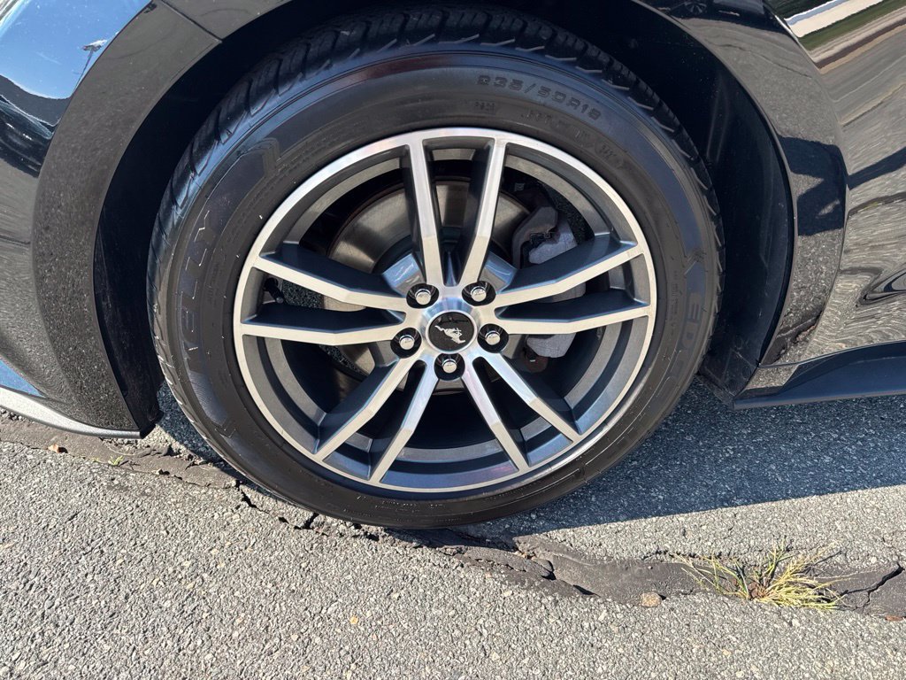 Used 2016 Ford Mustang Premium RWD image 15