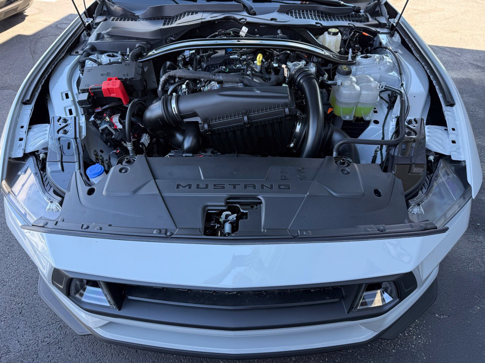 New 2026 Ford Mustang Premium w/ Mustang RTR Package RWD image 37