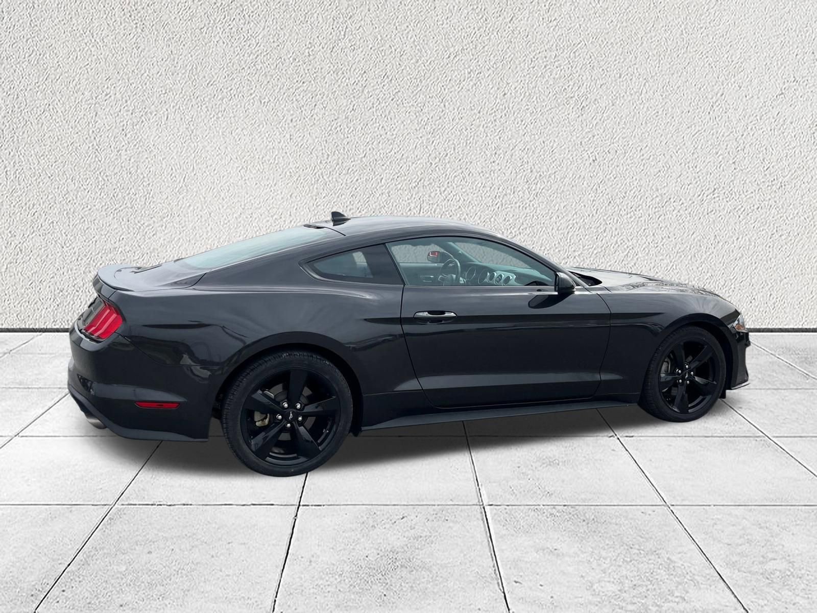 Used 2023 Ford Mustang Premium w/ Mustang Nite Pony Package image 9