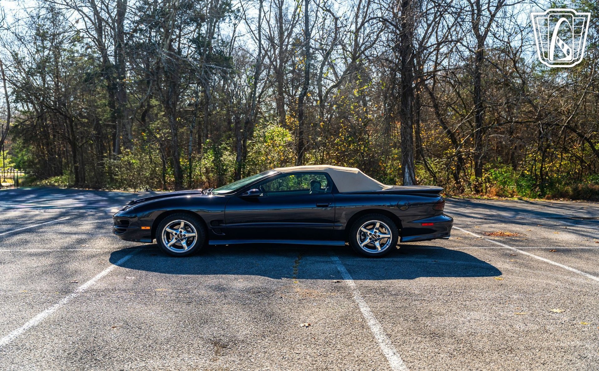 Used 2000 Pontiac Firebird Trans Am image 15