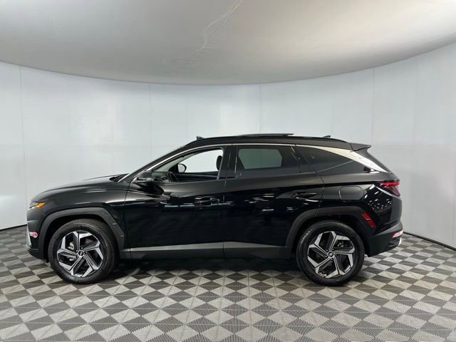 Used 2023 Hyundai Tucson Limited AWD/4WD image 11