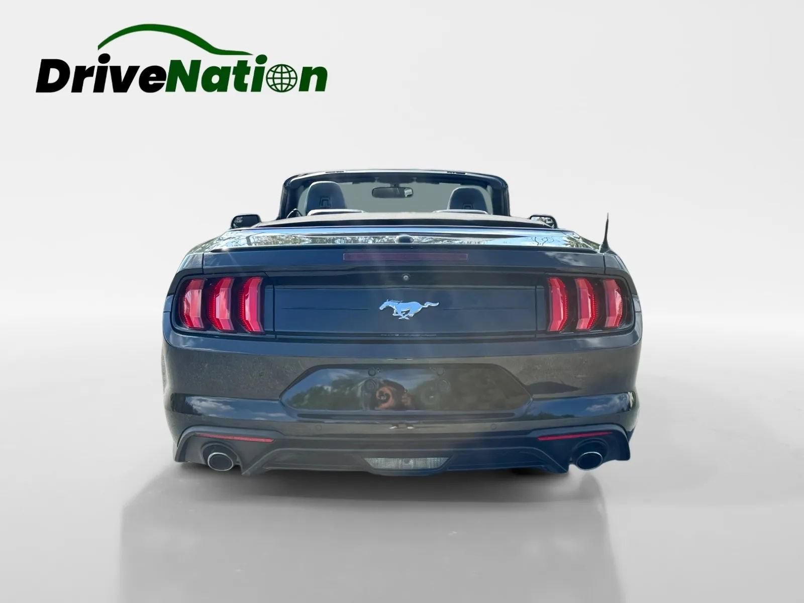 Used 2018 Ford Mustang Premium w/ Equipment Group 201A RWD image 6