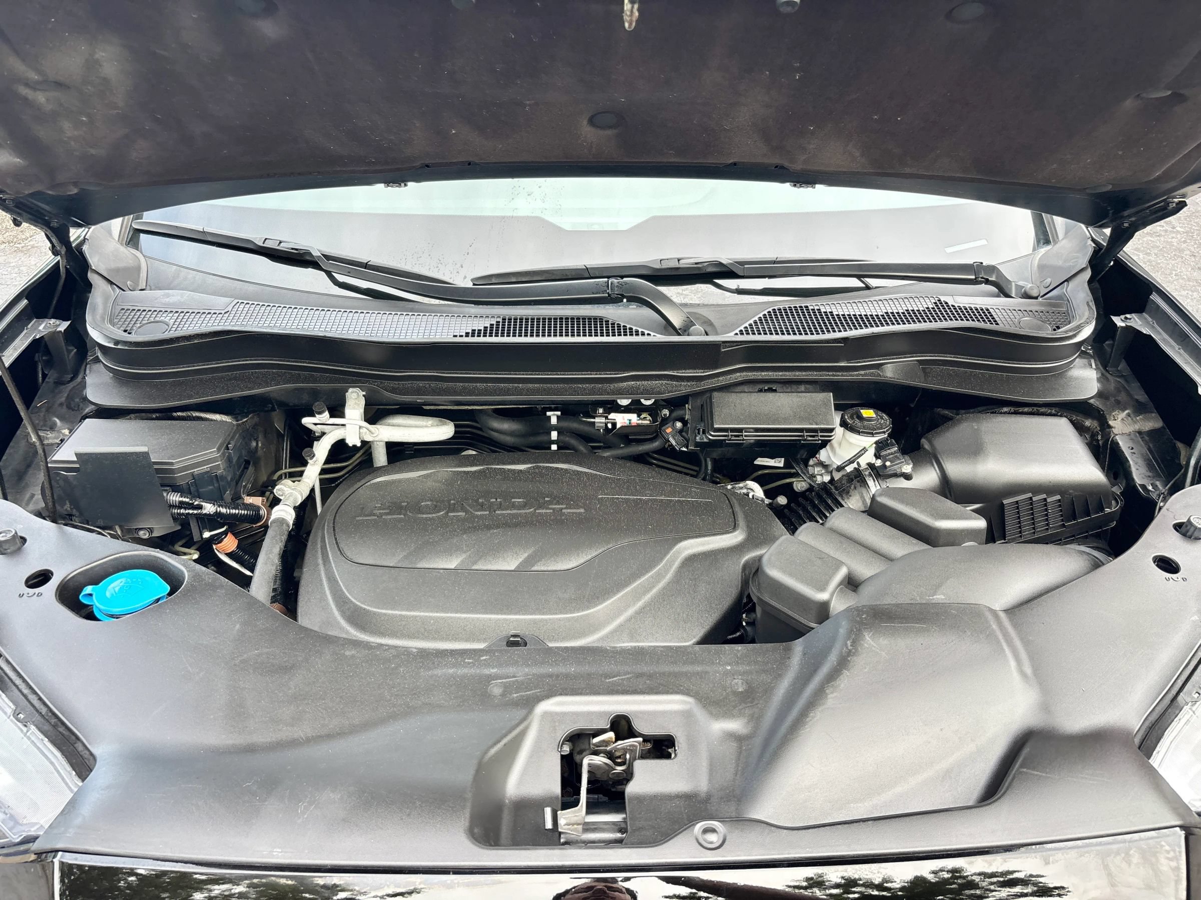 Used 2024 Honda Passport TrailSport image 21