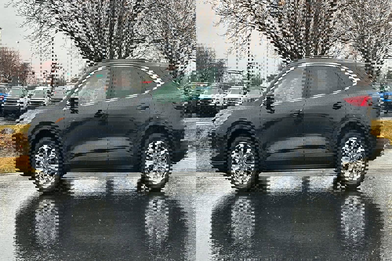 Certified 2025 Ford Escape Platinum image 5