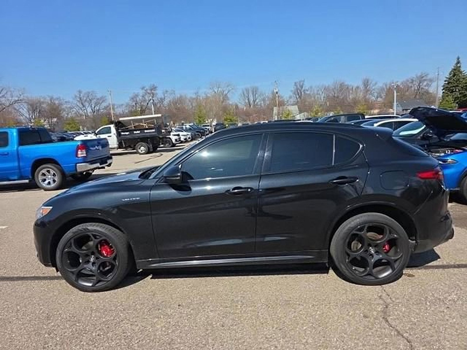 Used 2023 Alfa Romeo Stelvio Veloce image 7