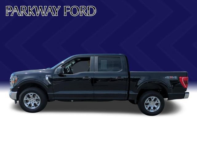 Used 2023 Ford F150 XLT image 8
