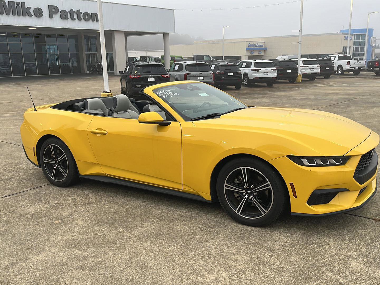 Used 2024 Ford Mustang Premium image 4